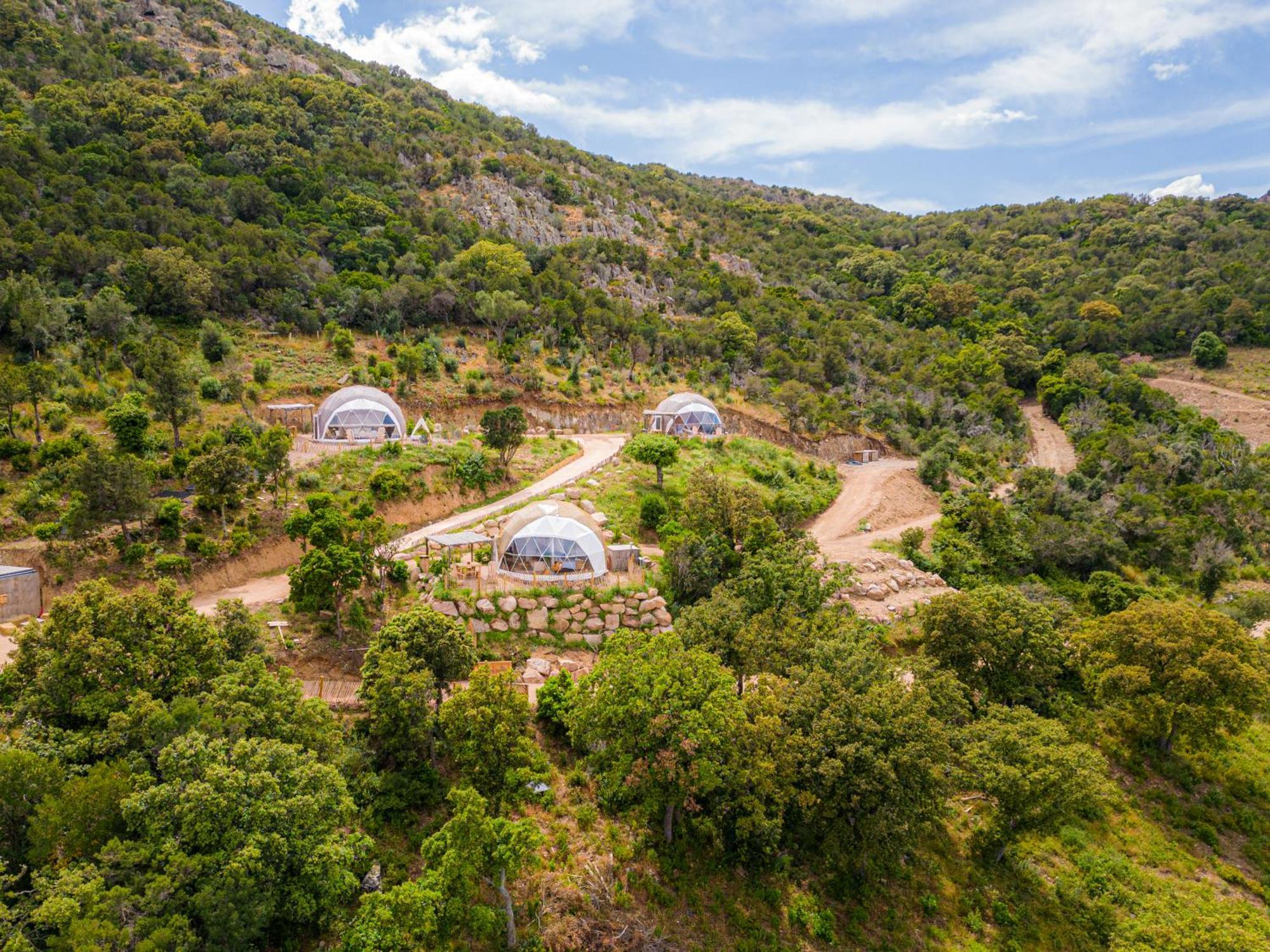 Domaine De Sonia - Logements Eco-Insolites بورتو فيكشْيو المظهر الخارجي الصورة
